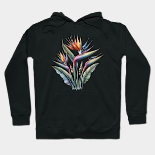 Bird of Paradise, Watercolor Botanical Hoodie